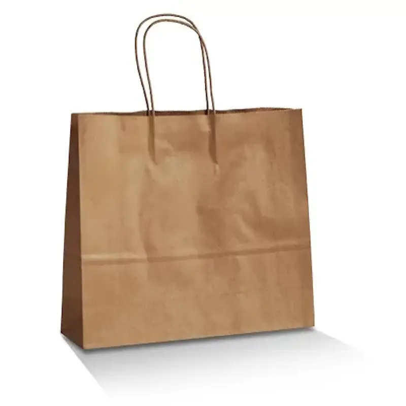 Brown Kraft Bag /Twisted Paper Handle- Medium Boutiqu-Zeropac
