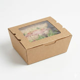 Small Lunch Box With Window