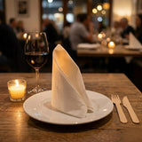 Dinner Napkin 2-Ply 1/8 Fold