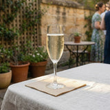 Cocktail Napkin 2-Ply