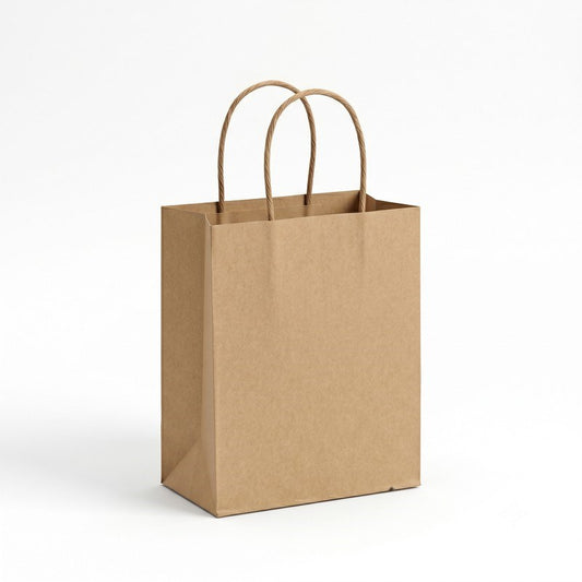 Paper Bag Twisted Handle Small