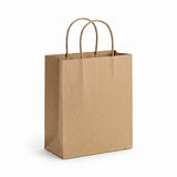 Paper Bag Twisted Handle Medium