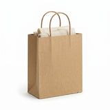 Paper Bag Twisted Handle Medium