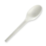 6" CPLA Spoon-Zeropac