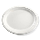 250 X 320mm / 10" X 12.5" Oval Plate-Zeropac