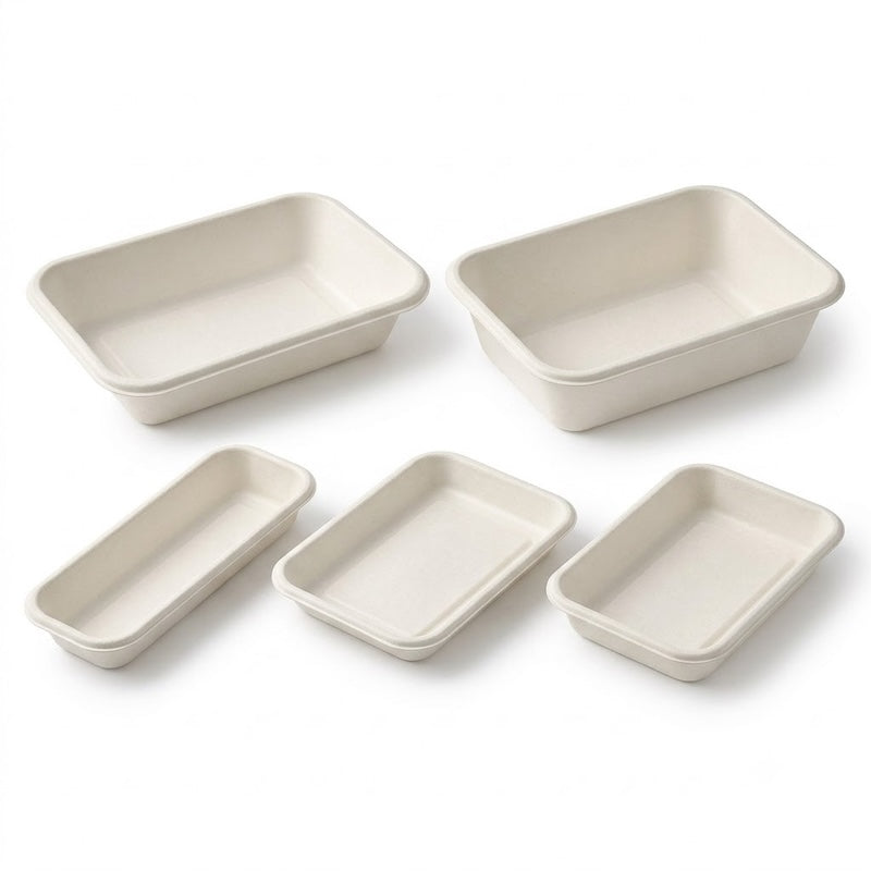 Zeropac sugarcane bagasse rectangular rimmed tray range in five sizes with two 215mm trays in the back row and narrow 200mm and 180mm trays in the front row, all on matching diagonal orientation on seamless pure white background