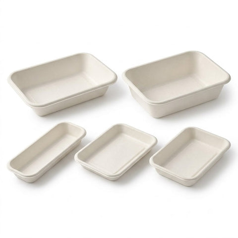 Sugarcane Trays