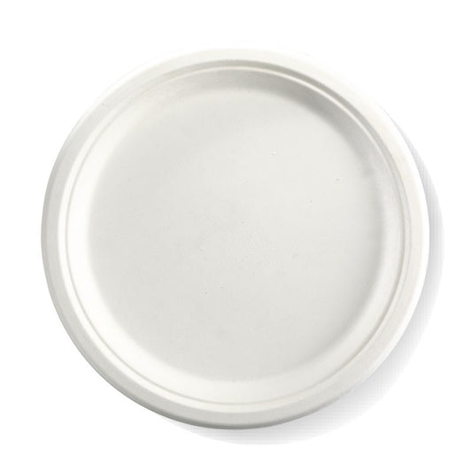 10" Round Plate
