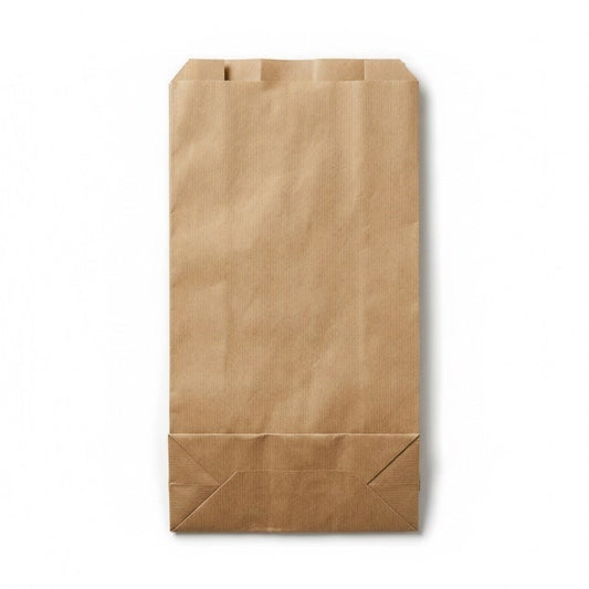 Double Bottle Brown Paper Bag