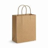 Paper Bag Twisted Handle Medium Boutique