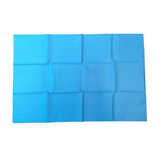 Disposable Blue Flat Sheet 1500L X 920W